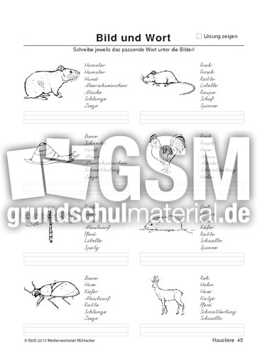 BuW Haustiere45.pdf